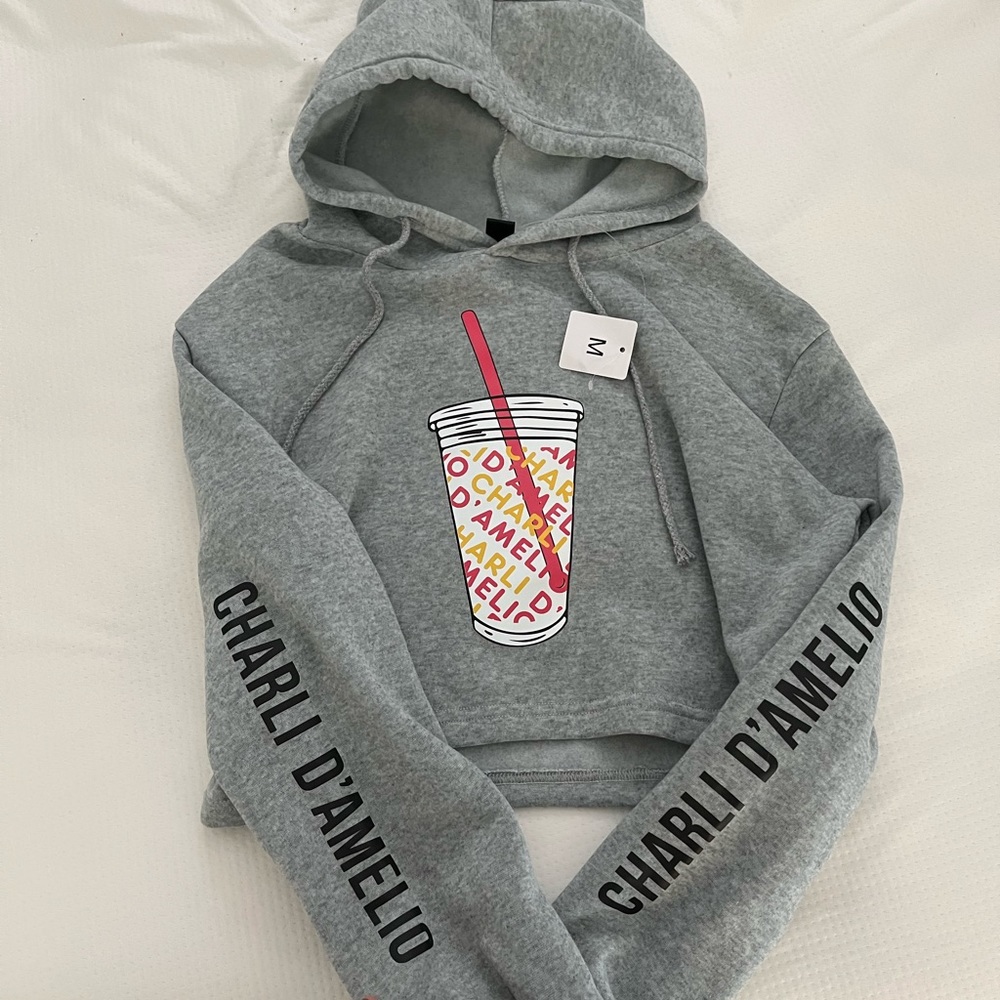 charli d'amelio hooded crop top sweater